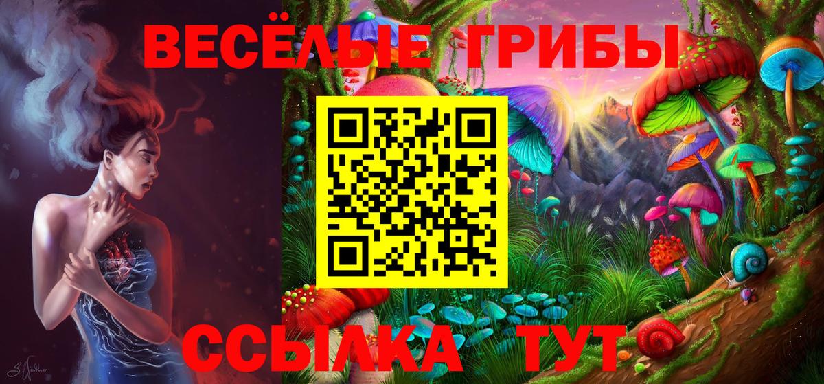 Галлюциногенные грибы Psilocybine cubensis Удомля